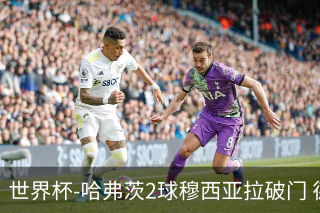 世界杯-哈弗茨2球穆西亚拉破门 德国全面开花7-1库拉索