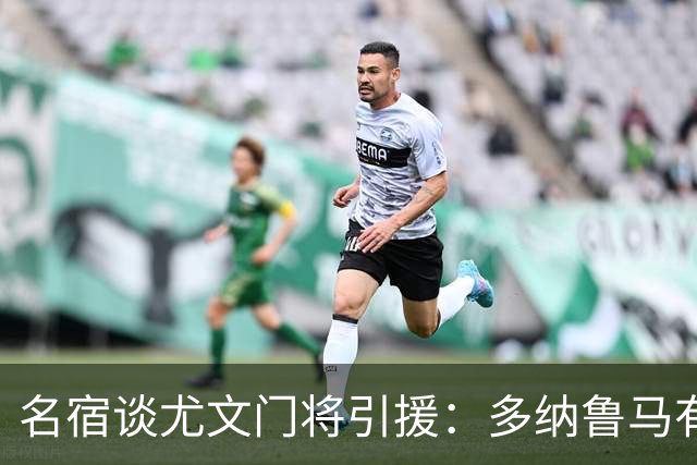 名宿谈尤文门将引援：多纳鲁马有短板 3C离开是“严重错误”