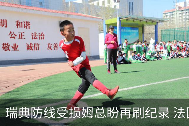 瑞典防线受损姆总盼再刷纪录 法国半场锁胜局?