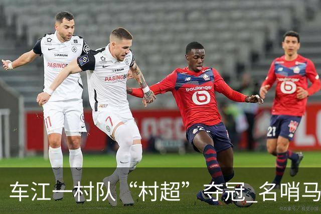 车江一村队“村超”夺冠 名哨马宁现场助阵