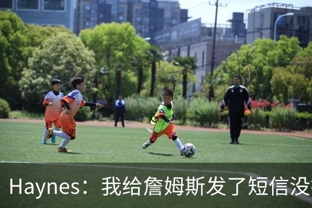 Haynes：我给詹姆斯发了短信没指他回 他将保持耐心&深思熟虑决定
